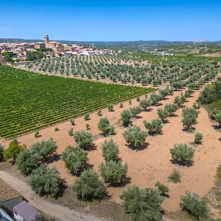 Hotel Vilar Rural D'Arnes By Serhs Hotels Sant Carles De La Rapita Exterior photo