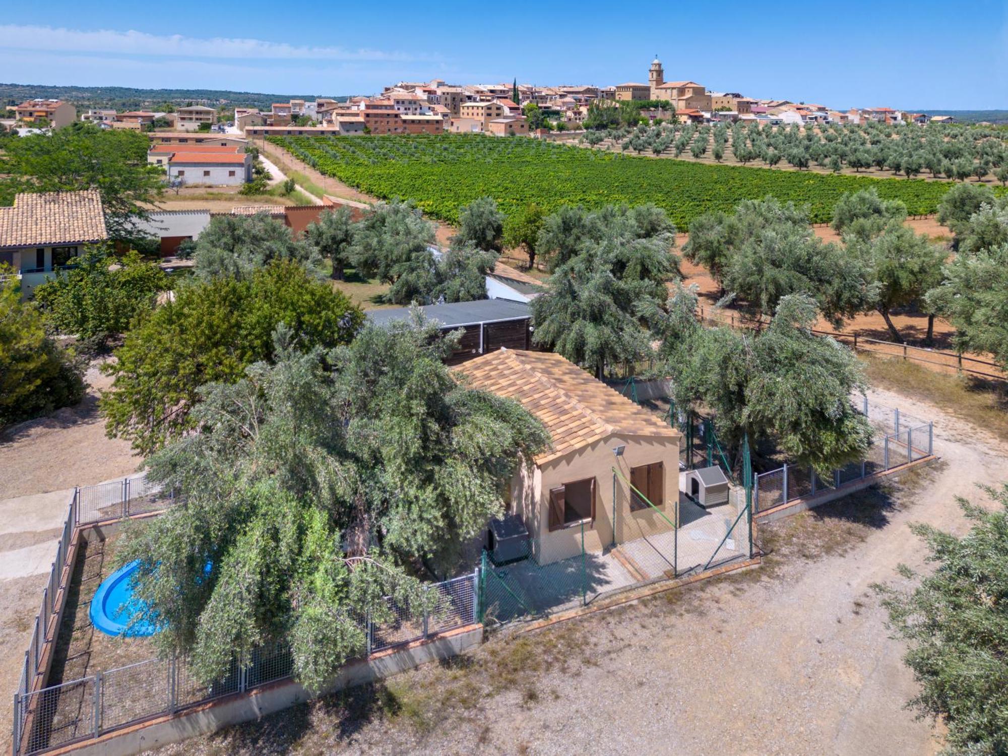 Hotel Vilar Rural D'Arnes By Serhs Hotels Sant Carles De La Rapita Exterior photo