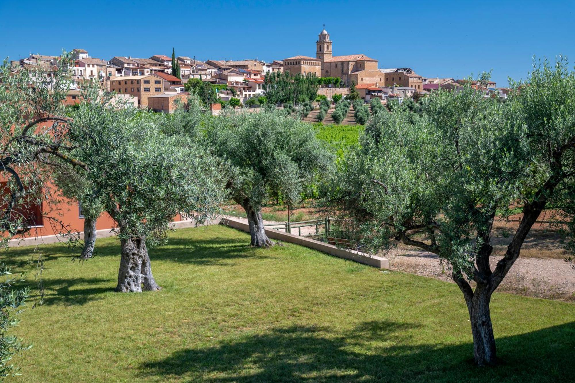 Hotel Vilar Rural D'Arnes By Serhs Hotels Sant Carles De La Rapita Exterior photo