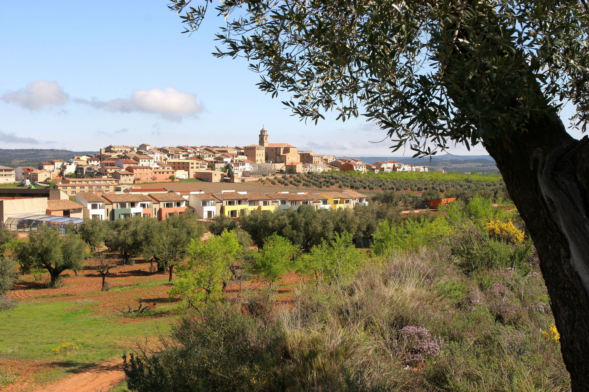 Hotel Vilar Rural D'Arnes By Serhs Hotels Sant Carles De La Rapita Exterior photo